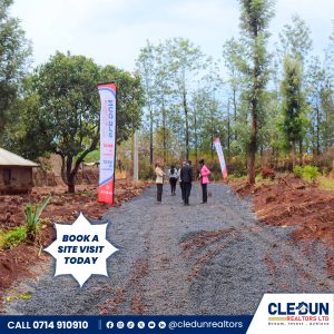 50 × 100 plots for sale in Makutano Cledun Realtors