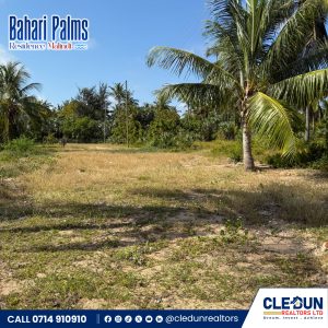 50 × 100 Beach Plots for Sale in Malindi
