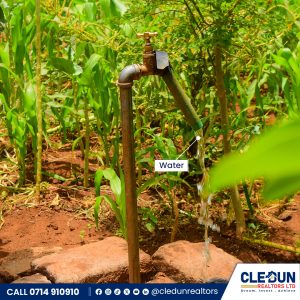 50 × 100 plots for sale in Makutano Cledun Realtors