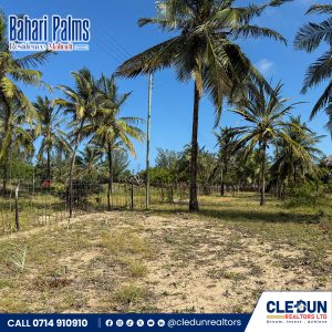 50 × 100 Beach Plots for Sale in Malindi