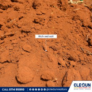 50 × 100 plots for sale in Makutano Cledun Realtors